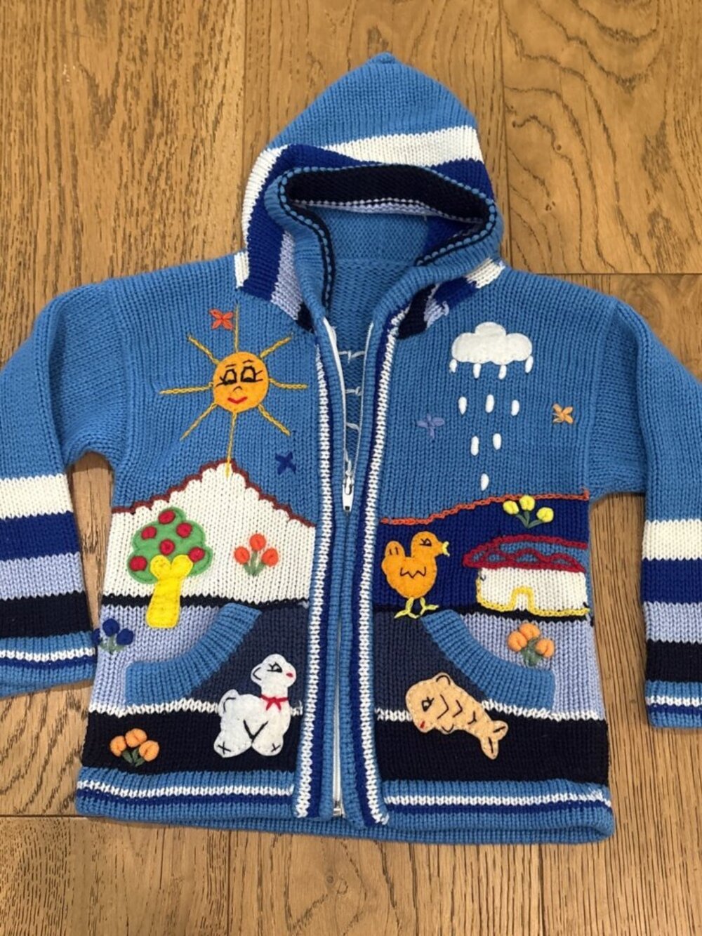 Handmade Peruvian Embroidered Hooded Sweater Unisex Kids